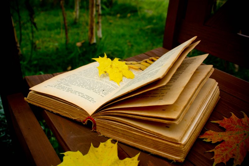 autumn_reading_by_cr1ms0n13-d3006q4.jpg