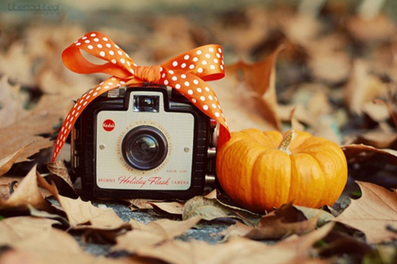 bow-camera-photography-pumpkin-vintage-favim-com-112334-1280x768.jpg