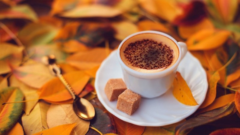 Delicious-coffee-with-brown-sugar-and-cinnamon-HD-wallpaper_1920x1080.jpg