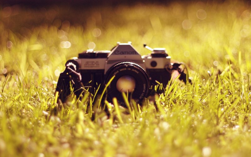 hi-tech-camera-canon-classic-photography-grass-picture-wallpaper.jpg