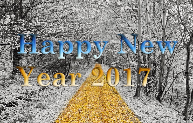 hinh-nen-tet-happy-new-year-2017-p3-16.jpg