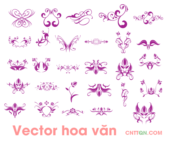 vector-hoa-van-dep.png