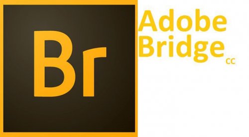 adobe bridge not responding