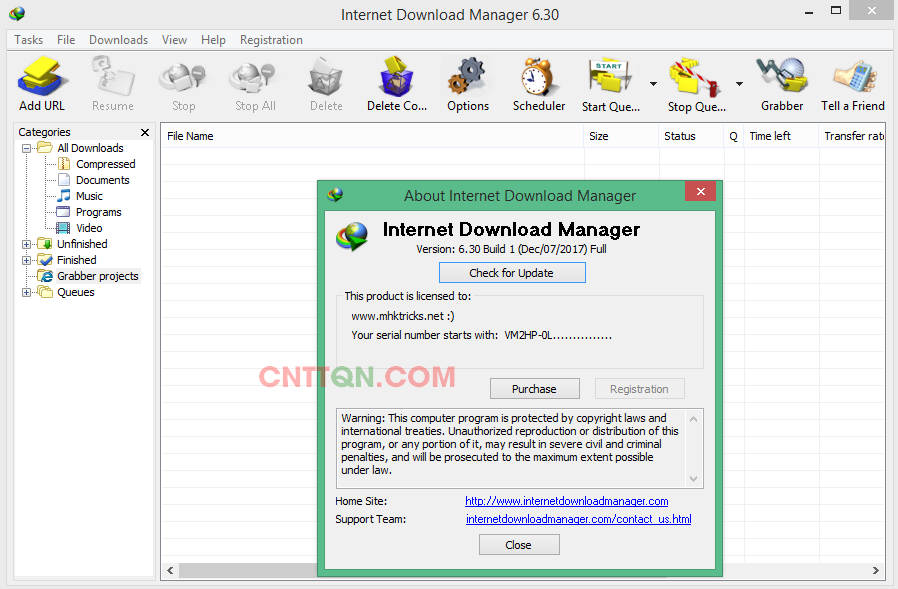 internet download manager idm 6.2.8